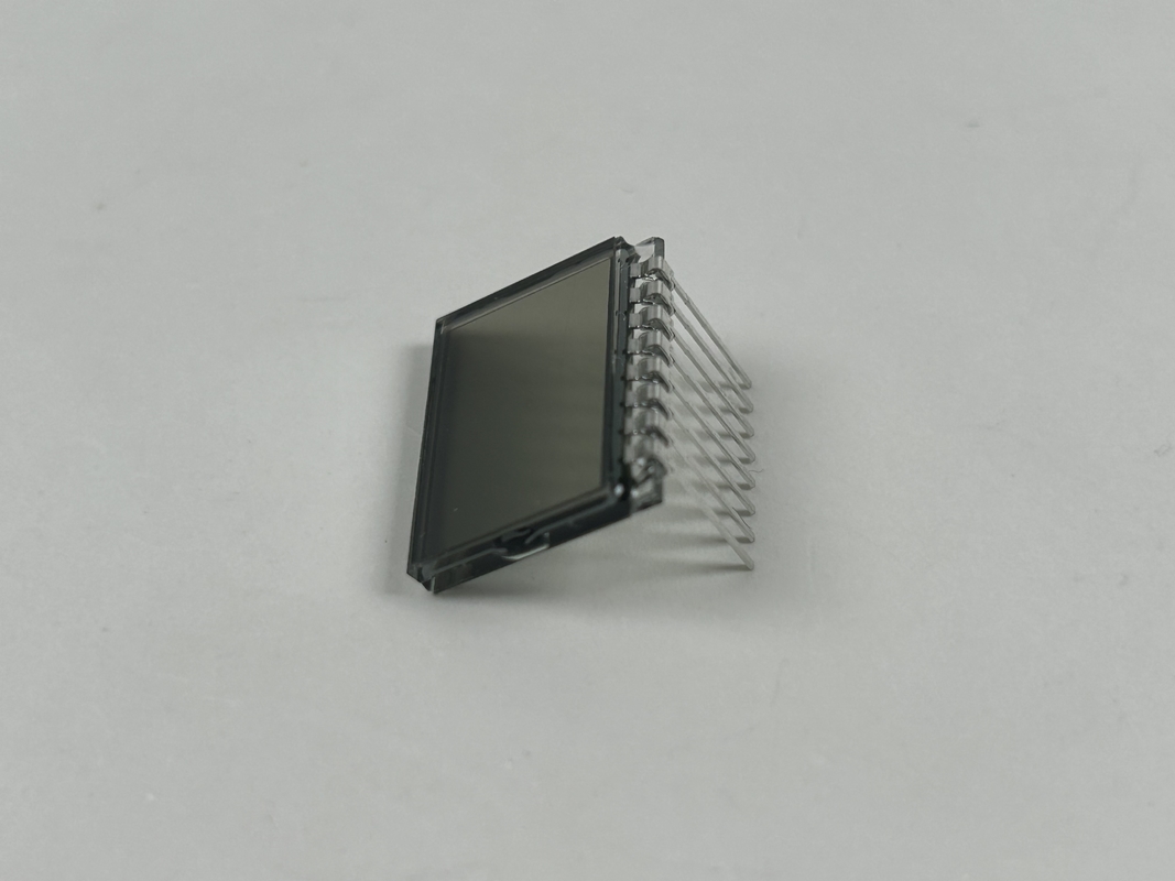 3.0 V プロシティブ TN LCD ディスプレイ セグメント コードスクリーン 可変な犬訓練襟